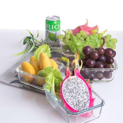 friendly enviroment glass food storage vacuum lunch box